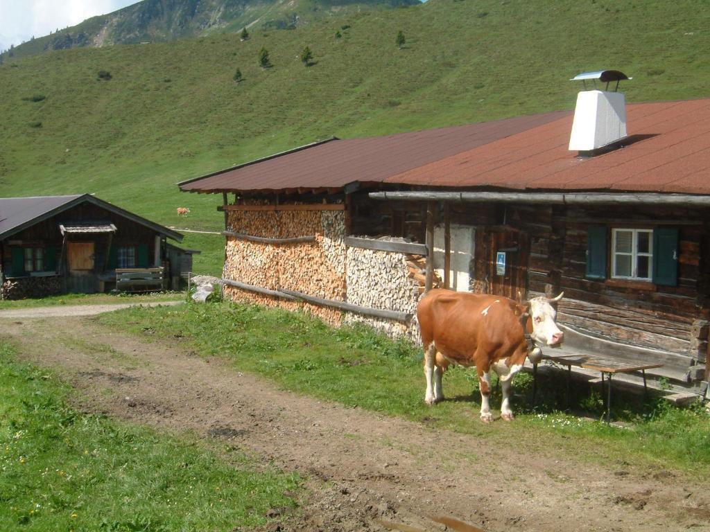 Haus Brugglbach Leilighet Kirchberg in Tirol Eksteriør bilde