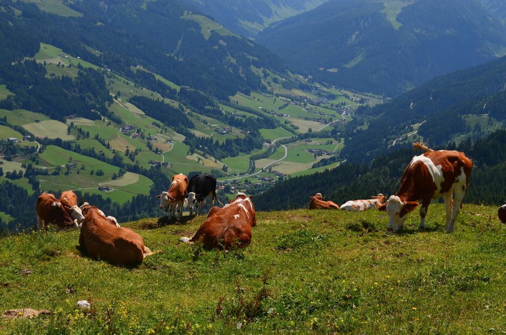 Haus Brugglbach Leilighet Kirchberg in Tirol Eksteriør bilde