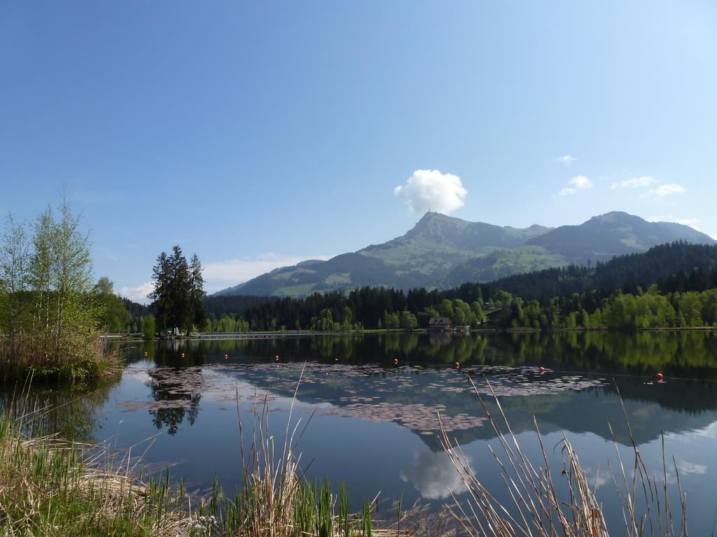 Haus Brugglbach Leilighet Kirchberg in Tirol Eksteriør bilde